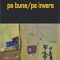 Adrian Şchiop – Pe bune/Pe invers