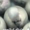 Pascal Bruckner – Copilul divin