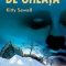 Kitty Sewell – Capcana de gheaţă