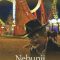 Paul Auster – Nebunii în Brooklyn