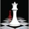 Stephenie Meyer – Zori de zi