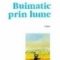 Bicleanu Dima – Buimatic pein lume