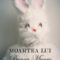 Nick Cave – Moartea lui Bunny Munro