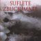 Stefan Zweig – Suflete zbuciumate