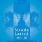 Zoltán Rostás – Strada latină nr. 8