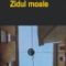 Adrian Buz – Zidul moale
