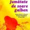 Chimamanda Ngozi Adichie – Jumătate de soare galben