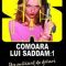 Gerard de Villiers – Comoara lui Saddam. Vol.1