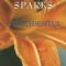 Nicholas Sparks – Accidentul