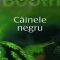 Stephen Booth – Câinele negru
