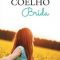 Paulo Coelho – Brida