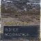 Robert Finley – Indiile accidentale