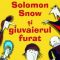 Kaye Umansky – Solomon Snow şi giuvaierul furat