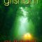 John Grisham – Clientul