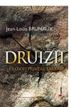 druizii