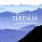 Cassian Maria Spiridon – Aventurile terţului