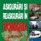 Gheorghe Bistriceanu – Asigurări şi reasigurări în România
