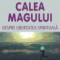 Deepak Chopra – Calea magului