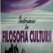 Constantin Stroe – Îndrumar în filosofia culturii
