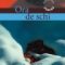 Emmanuel Carrere – Ora de schi