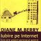 Diane Berry – Iubire pe internet. Cum să-ţi găseşti partenerul potrivit