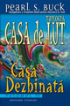 casadezbinata