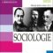 Carmen Bulzan – Sociologie. Manual pentru clasa a XI-a
