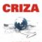 Andrei Marga – Criza şi după criză