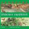 Peter Berger – Pădurea tropicală