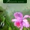 Hudson W.H. – Palatele verzi