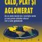 Thomas Friedman – Cald, plat şi aglomerat