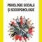Petru Iluţ – Psihologie socială şi sociopsihologie