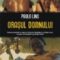 Paulo Lins – Oraşul Domnului