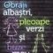 Adrian Chivu – Obraji albaştri, pleoape verzi şi buze mov