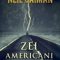 Neil Gaiman – Zei americani