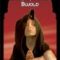 Lois McMaster Bujold – Paladinul sufletelor