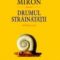 Paul Miron – Drumul străinătăţii. Al doilea caiet