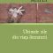 Alexandru Matei – Ultimele zile din viaţa literaturii
