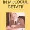 Dan Berindei – În mijlocul cetăţii