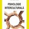 Alin Gavreliuc – Psihologie interculturală