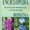Mihaela Temelie – Enciclopedia plantelor medicinale cultivate din România