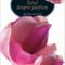 John Oakes – Totul despre parfum