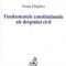 Drăghici Sonia – Fundamentele constiţutionale ale dreptului civil