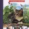 Afonkina C.U. – Pisici. În ajutorul elevilor