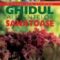 Michael Van Straten – Ghidul alimentelor sănătoase