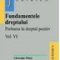 Mihai Gheorghe – Fundamentele dreptului. Probarea în dreptul pozitiv. Volumul VI