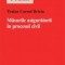 Briciu Traian Cornel – Măsurile asiguratorii în procesul civil