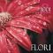 Flori – Album