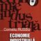 Corneliu Russu – Economie industrială