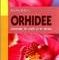 Alfons Burger – Orhidee. Crescute în casă şi în birou